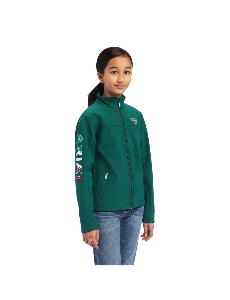 Vestes Ariat New Team Softshell MEXICO Multicolore | PWE-1137884