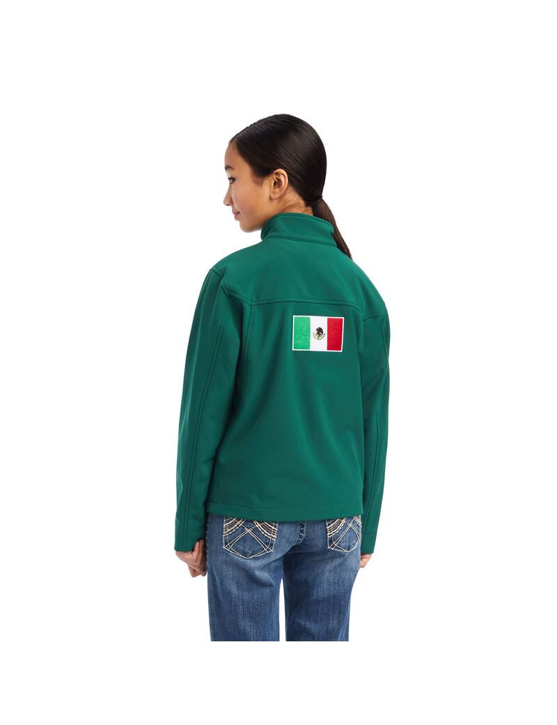 Vestes Ariat New Team Softshell MEXICO Multicolore | PWE-1137884