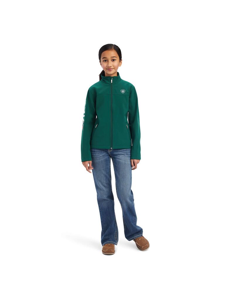 Vestes Ariat New Team Softshell MEXICO Multicolore | PWE-1137884