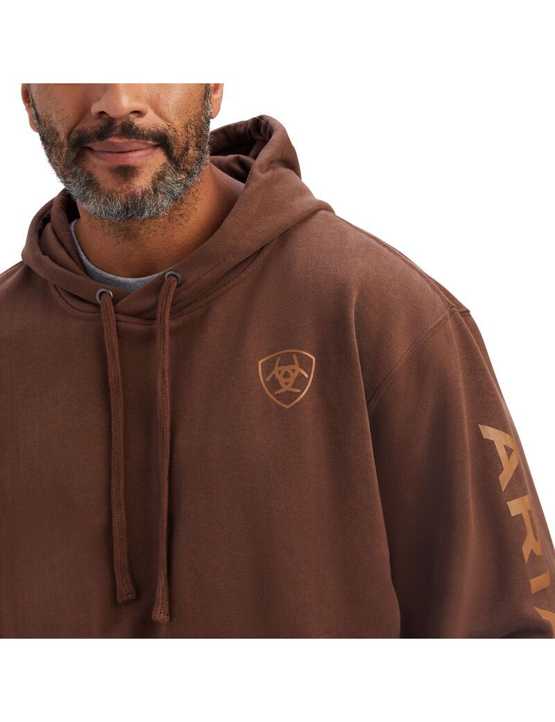 Sweat à Capuche Ariat Logo Marron | DOI-4020837