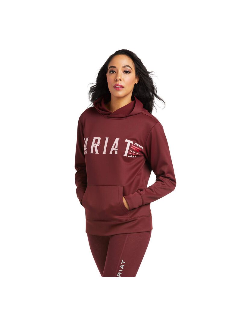 Sweat à Capuche Ariat Logo Tek Bordeaux | EKH-1425796