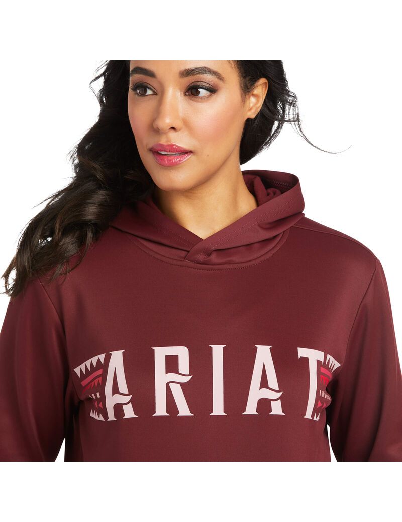 Sweat à Capuche Ariat Logo Tek Bordeaux | EKH-1425796