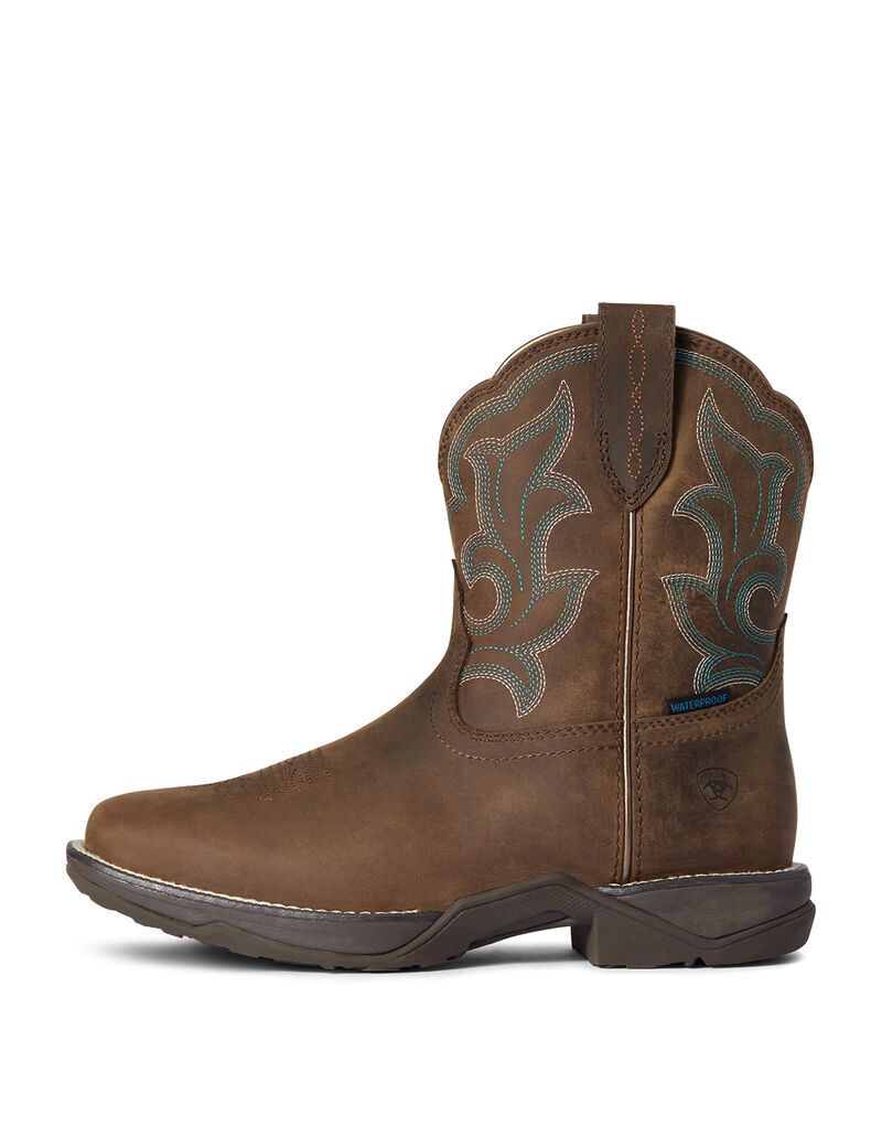 Bottes Imperméables Ariat Anthem Shortie II Western Marron | MYM-5804473