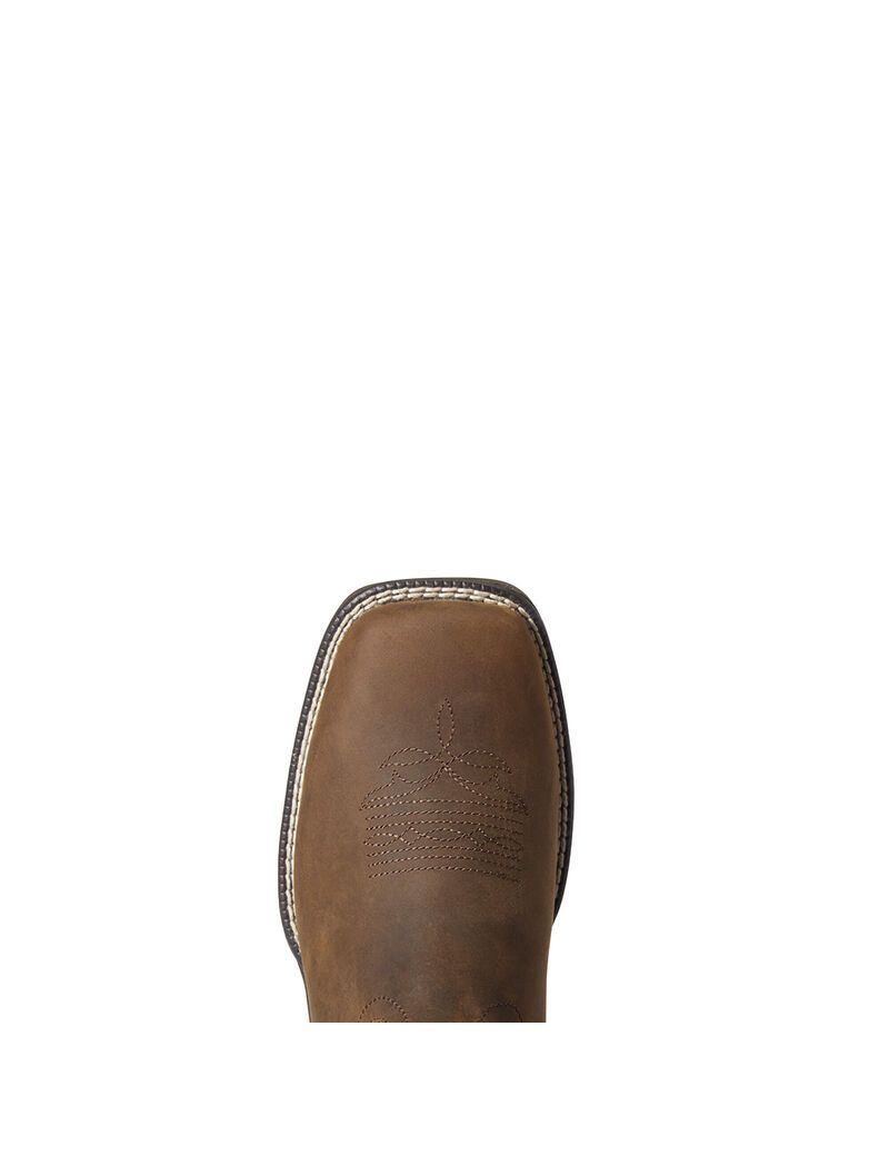 Bottes Imperméables Ariat Anthem Shortie II Western Marron | MYM-5804473