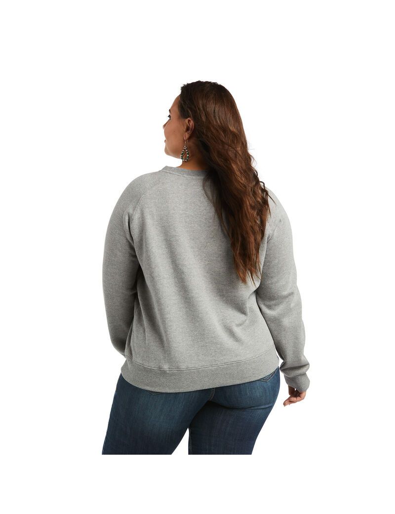 Sweats Ariat REAL Pacific Steerhead Grise | WKH-2617196