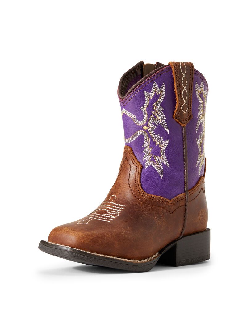 Bottes Western Ariat Stompers Calabasas Marron | NAY-6884431