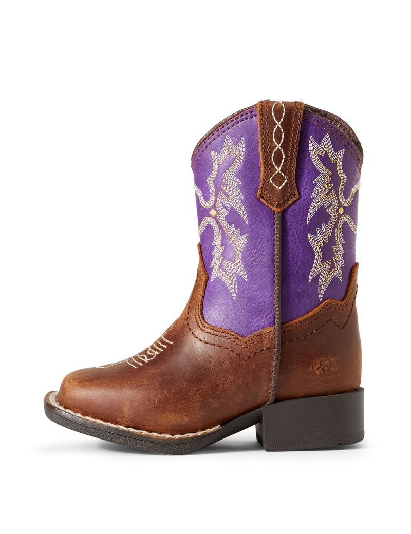 Bottes Western Ariat Stompers Calabasas Marron | NAY-6884431