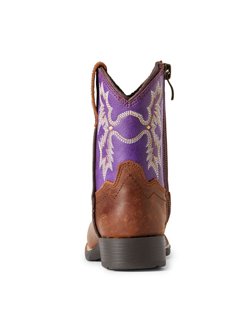 Bottes Western Ariat Stompers Calabasas Marron | NAY-6884431