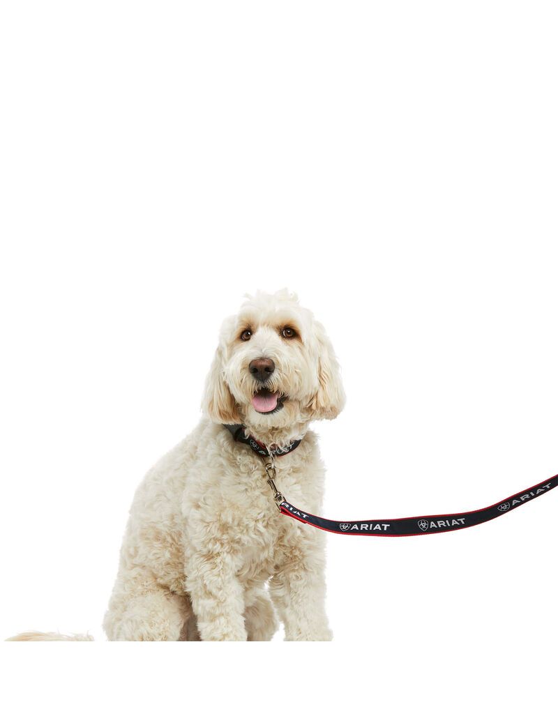 Pet Accessories Ariat Dog Leash Multicolore | PDJ-8993246