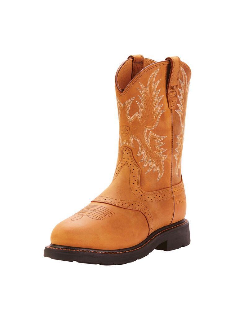 Bottes de Travail Ariat Sierra Saddle Steel Embout Multicolore | RLA-3262148