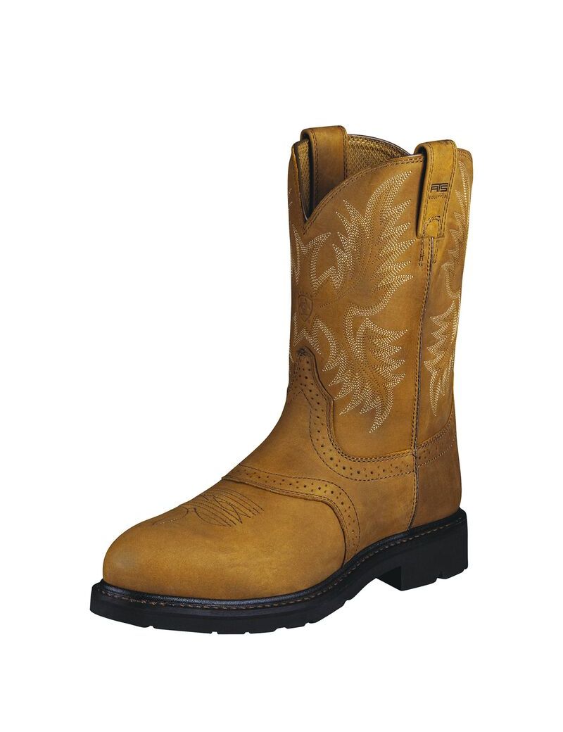 Bottes de Travail Ariat Sierra Saddle Steel Embout Multicolore | RLA-3262148