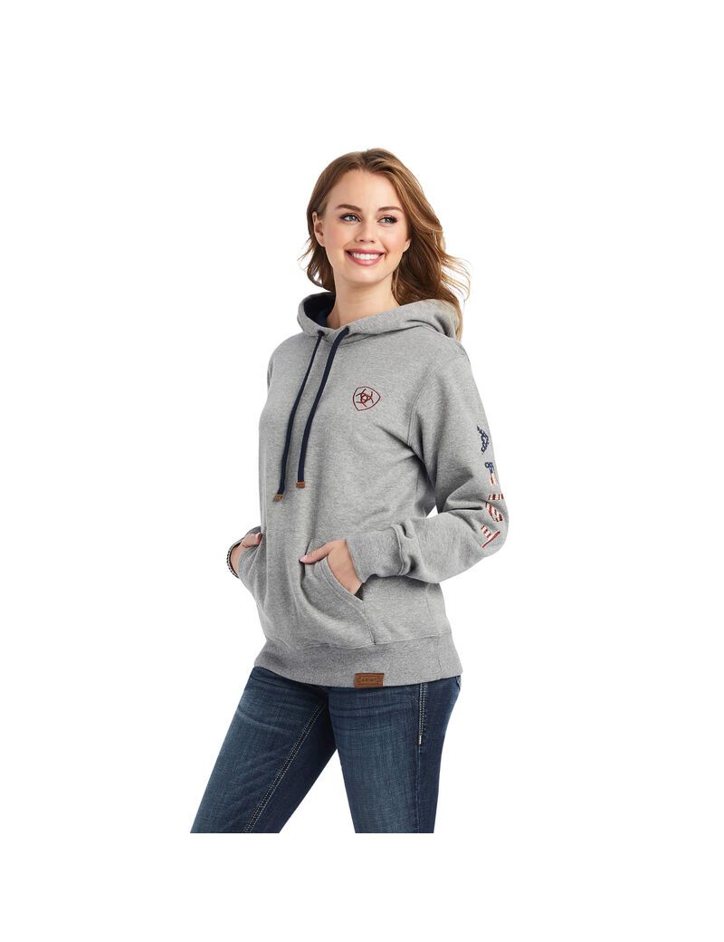 Sweat à Capuche Ariat Thunderbird Chimayo Grise | LHZ-2247856