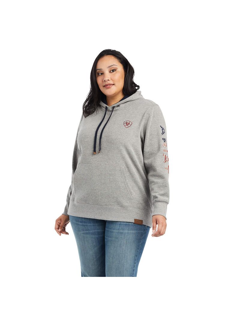 Sweat à Capuche Ariat Thunderbird Chimayo Grise | LHZ-2247856