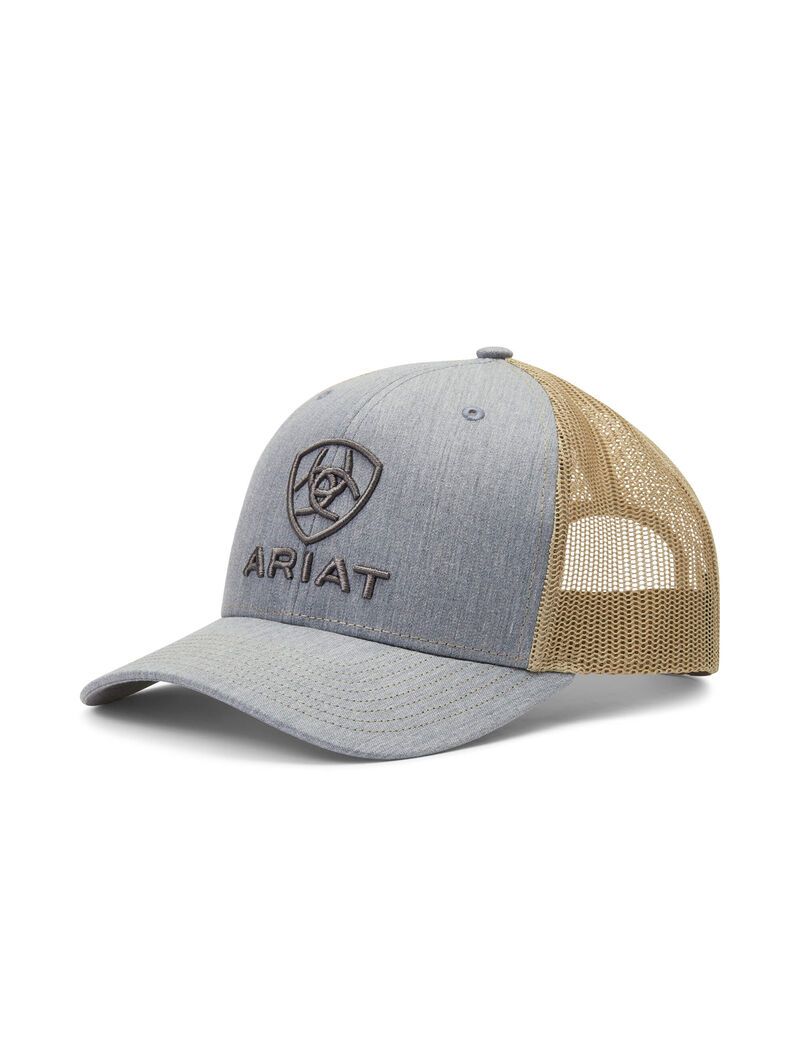 Casquettes Ariat Stacked Logo Grise Marron | VTN-7429246