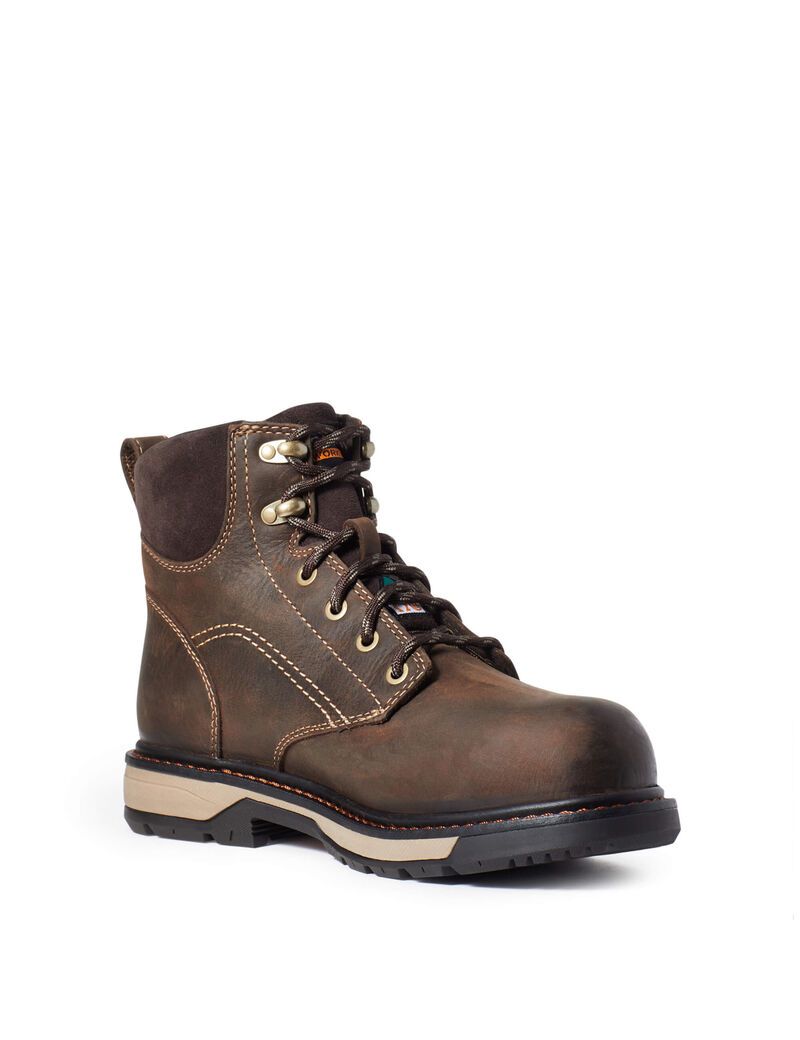 Bottes de Travail Ariat Riveter 6' CSA Imperméables Composite Embout Marron Foncé | VLX-4430860