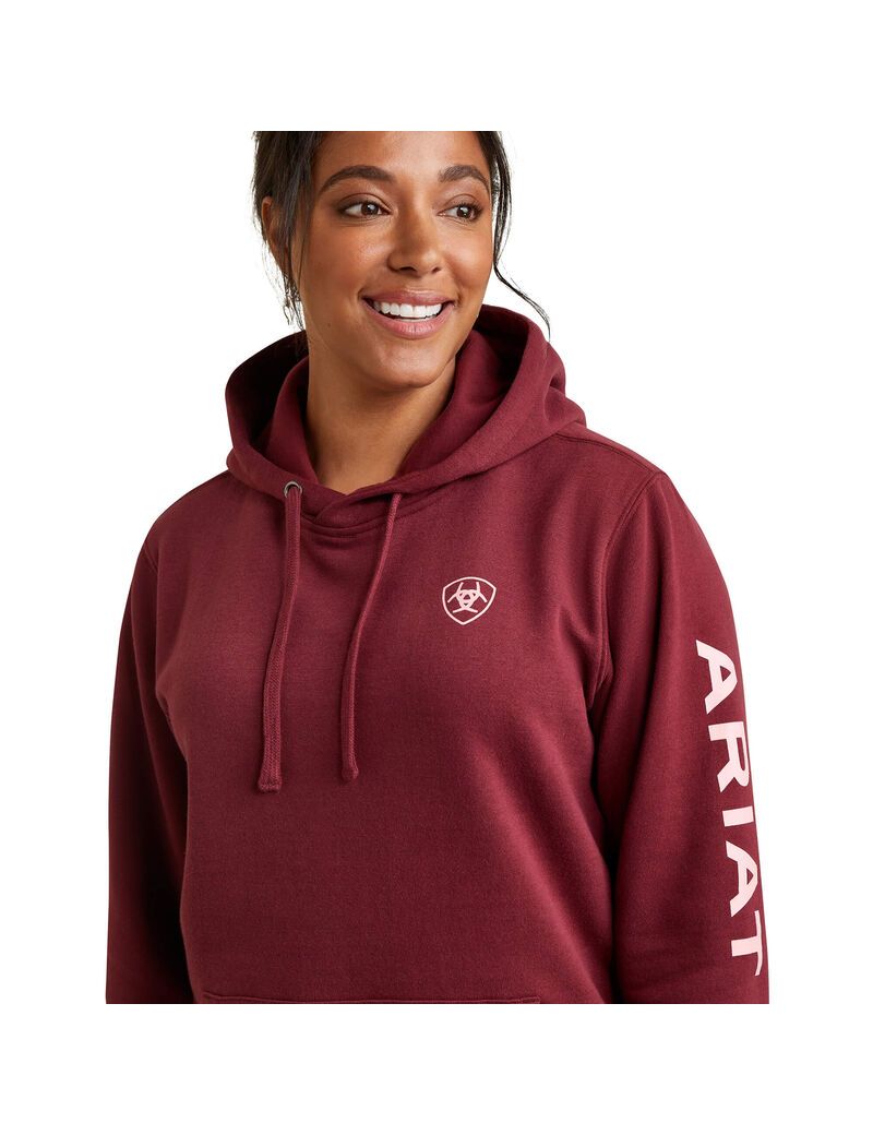 Sweat à Capuche Ariat Logo Multicolore | HVT-7528025