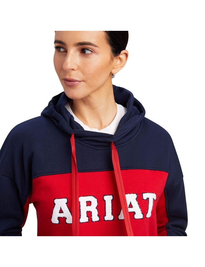 Sweat à Capuche Ariat Rabere Team Bleu Marine | QDN-5968639