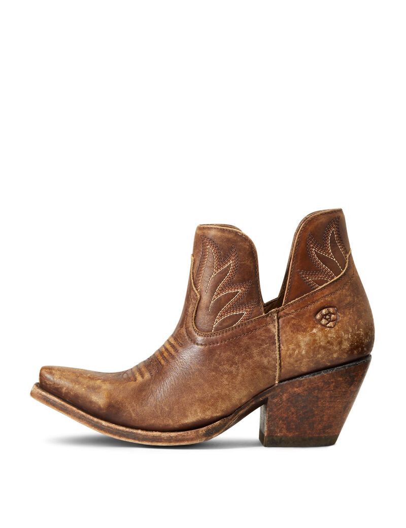 Bottines Ariat Hazel Western Marron | JCF-0521352