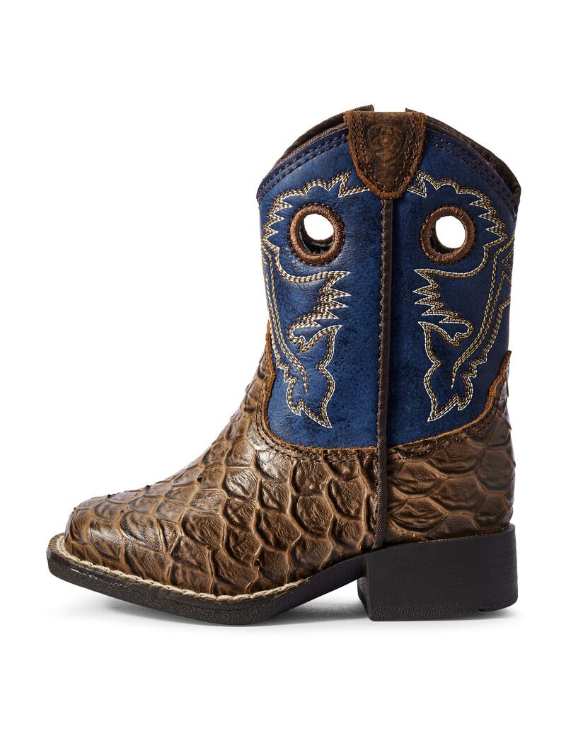 Bottes Western Ariat Stompers Orlando Marron | GIG-3615278