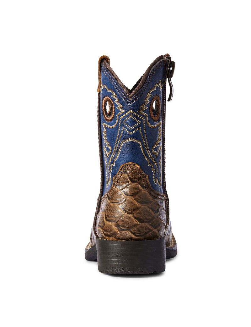 Bottes Western Ariat Stompers Orlando Marron | GIG-3615278