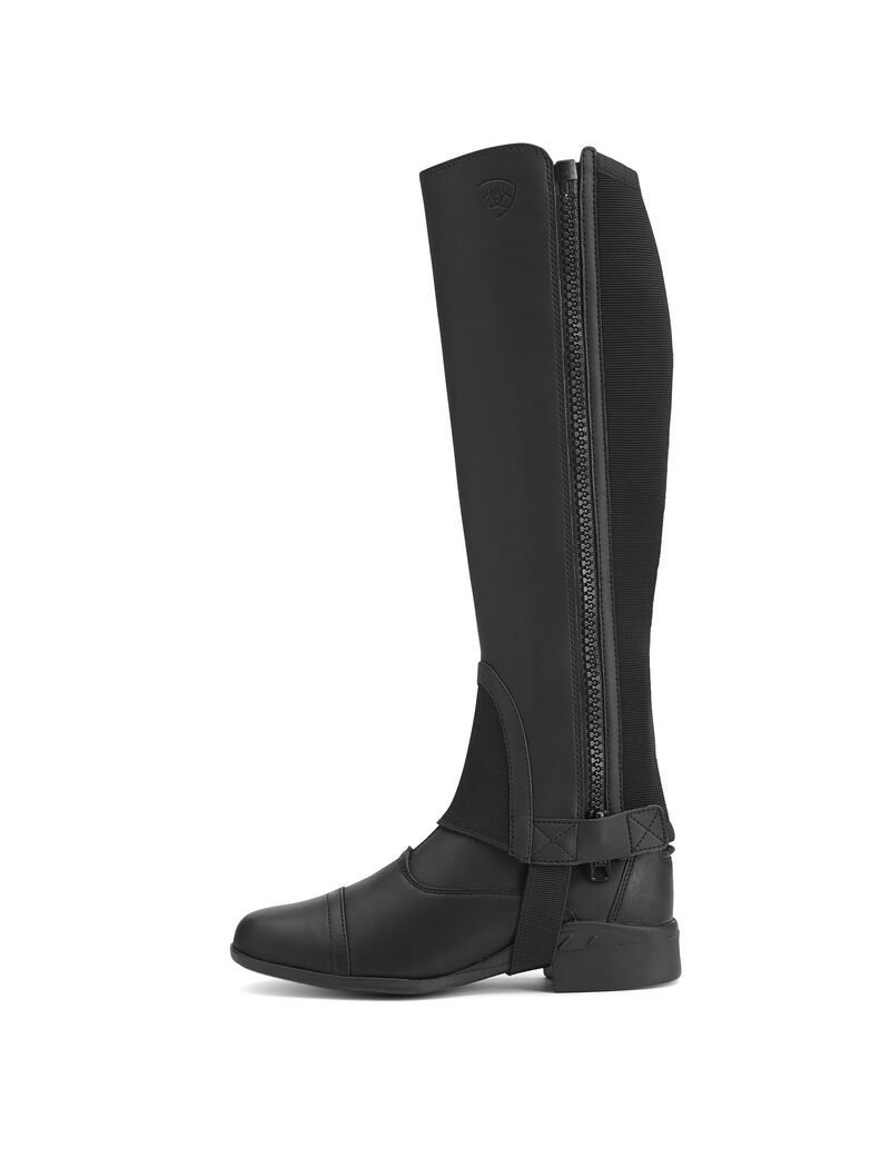 Bottes D'équitation Ariat Scout Chap Half Chap Noir | KJW-9273469