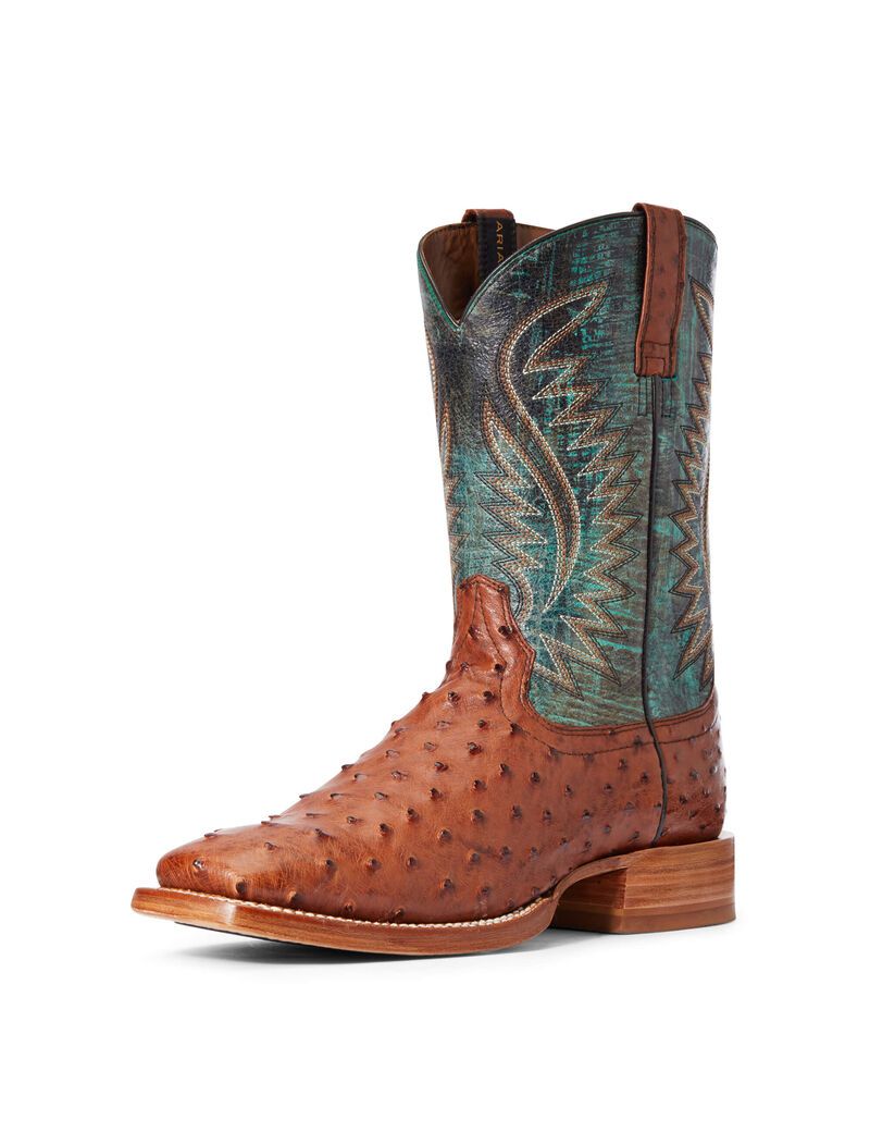 Bottes Western Ariat Gallup Multicolore | KWV-9334457