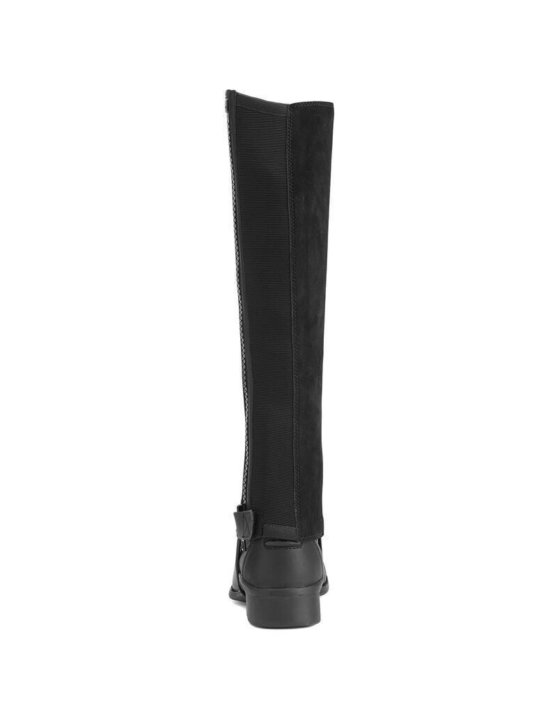 Bottes D'équitation Ariat Scout Chap Half Chap Noir | KJW-9273469