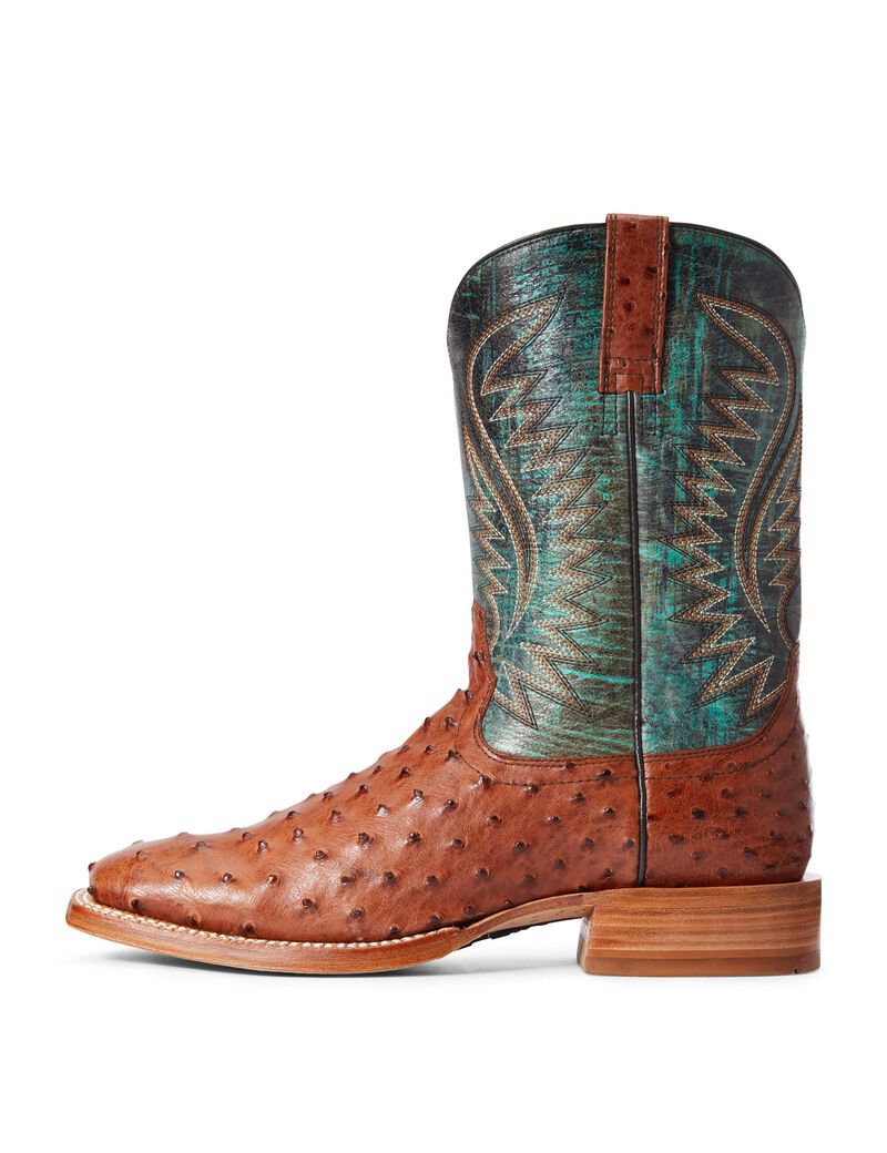 Bottes Western Ariat Gallup Multicolore | KWV-9334457