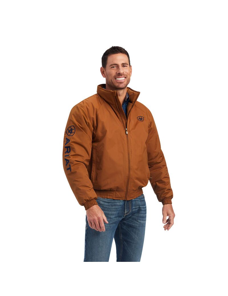 Vestes Ariat Team Logo Insulated Marron | SBZ-3951181