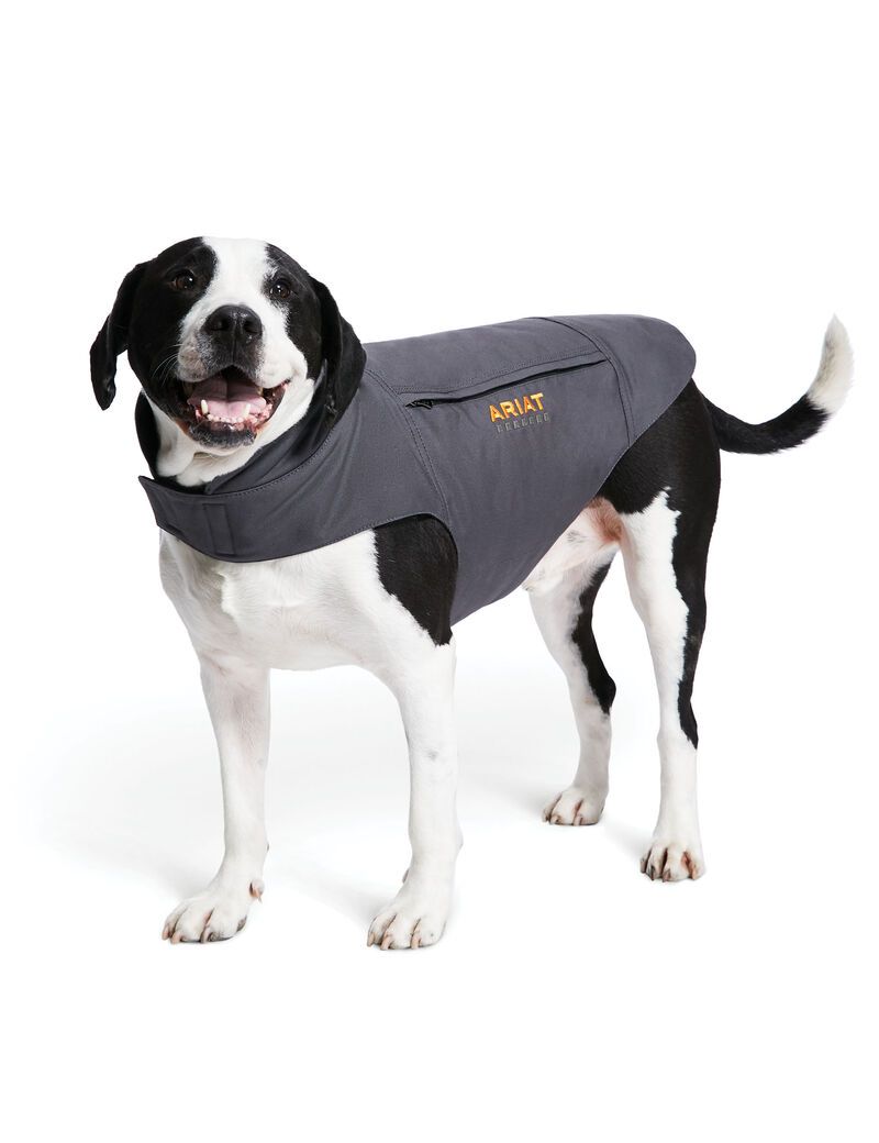 Pet Accessories Ariat Rebar DuraCanvas Insulated Dog Jackets Grise | UJA-9691507