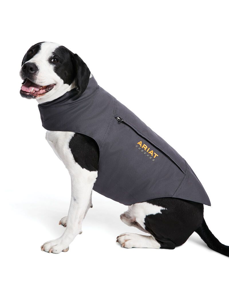 Pet Accessories Ariat Rebar DuraCanvas Insulated Dog Jackets Grise | UJA-9691507