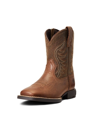 Bottes Western Ariat Amos Multicolore | BSS-3955089