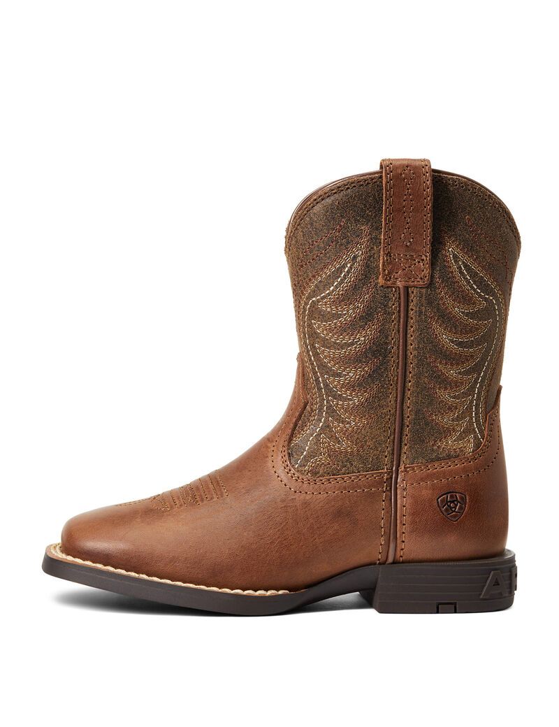 Bottes Western Ariat Amos Multicolore | BSS-3955089