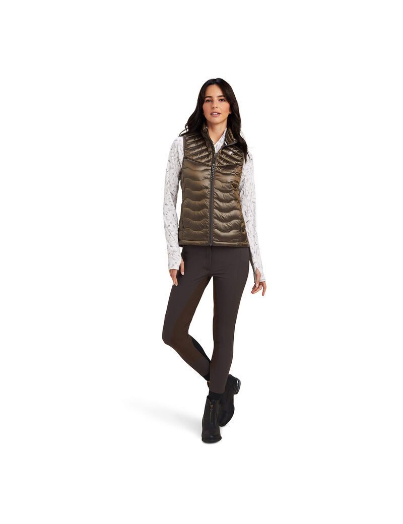 Gilet Ariat Ideal Down Multicolore | QDE-3670371