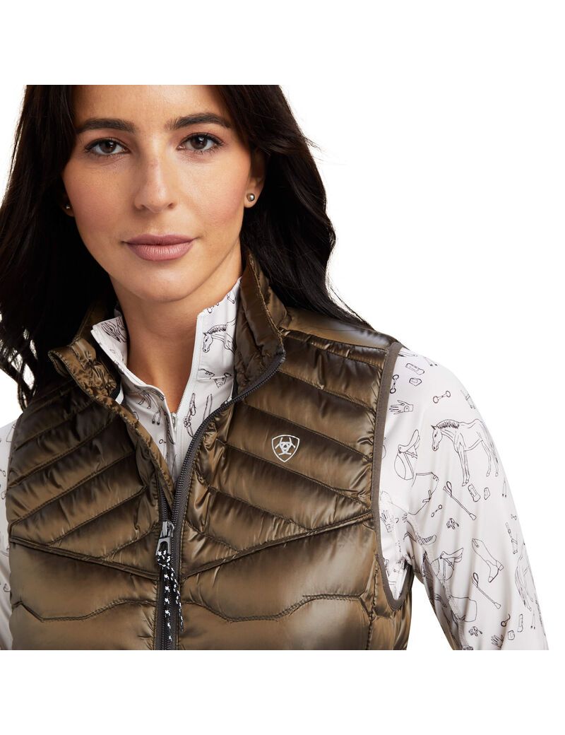 Gilet Ariat Ideal Down Multicolore | QDE-3670371