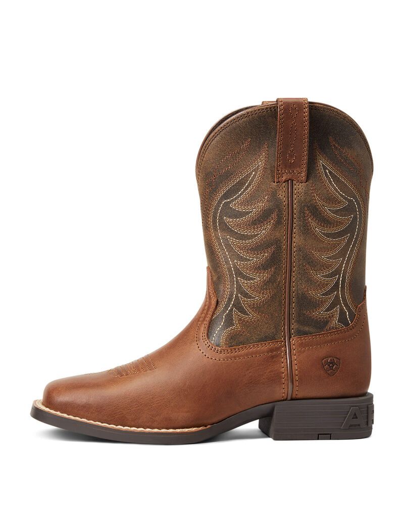 Bottes Western Ariat Amos Multicolore | ZKD-9561501