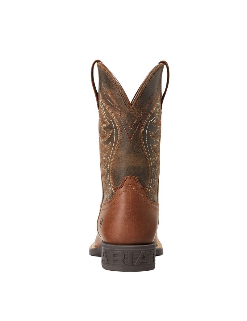 Bottes Western Ariat Amos Multicolore | ZKD-9561501