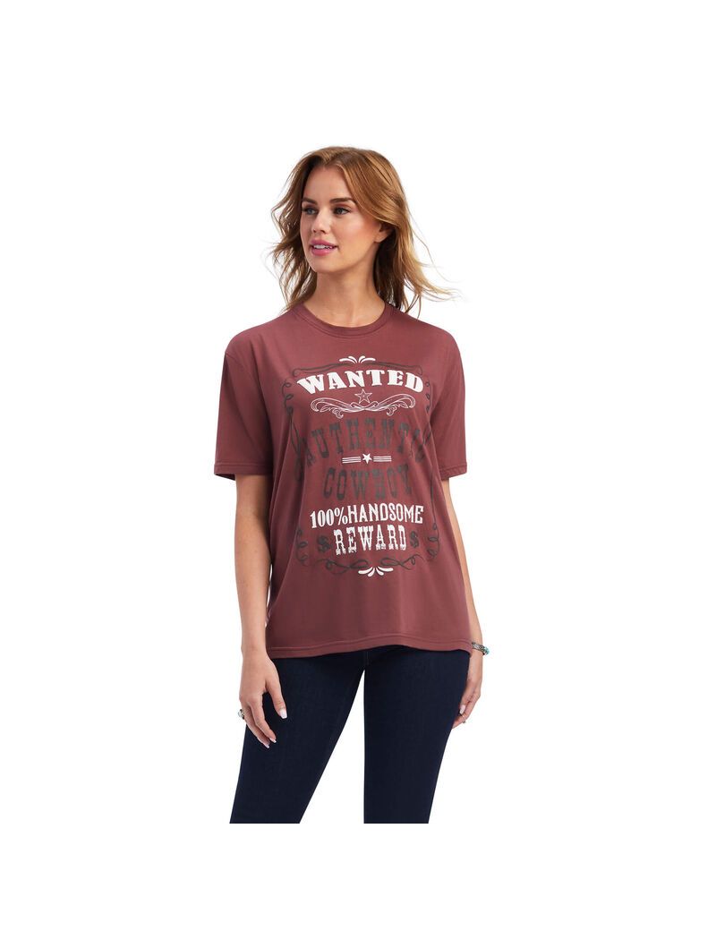 Hauts Ariat Wanted Tee Multicolore | JDD-2528215