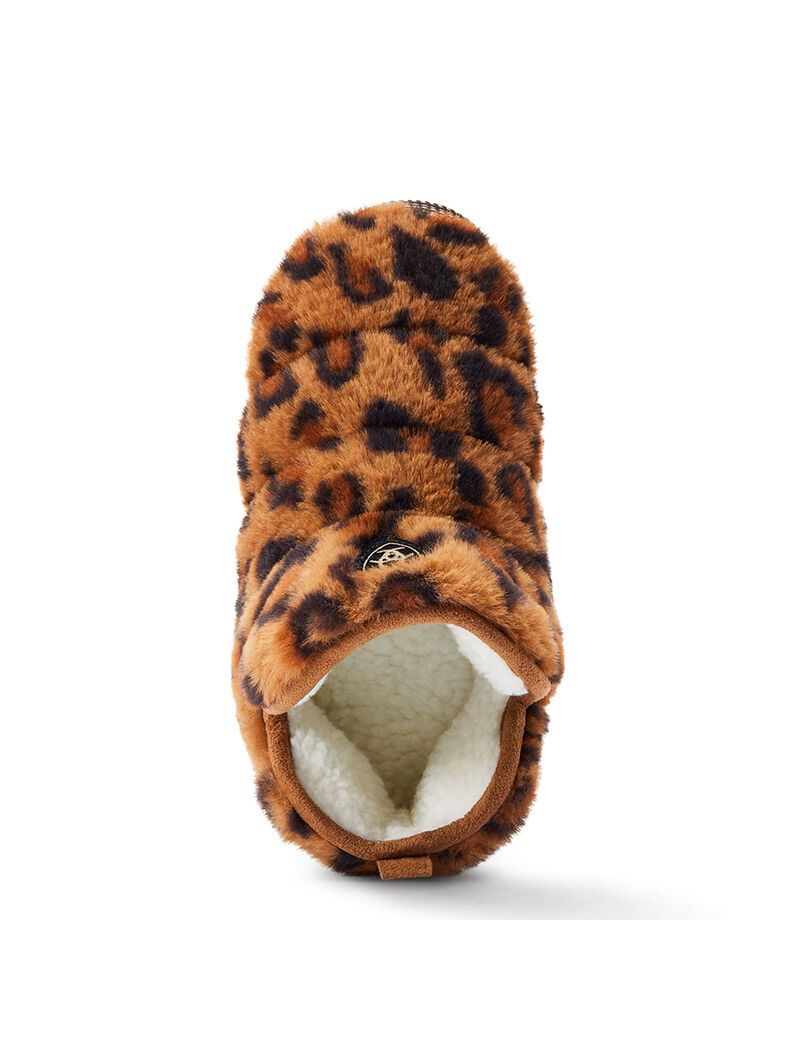 Chaussons Ariat Bootie Leopard | PUB-9918217