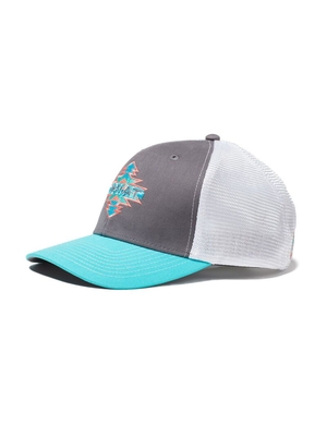 Casquettes Ariat Aztec Logo Snapback Grise | DUX-2039268