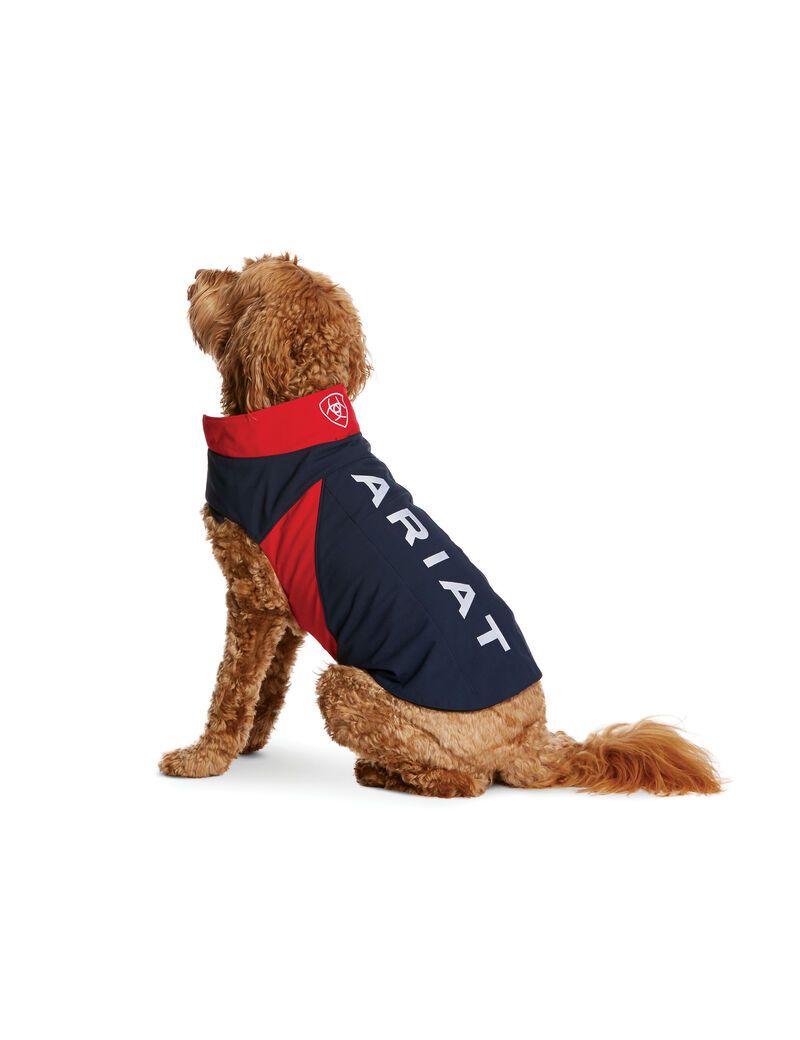 Pet Accessories Ariat Team Softshell Dog Jackets Multicolore | HVW-3601181