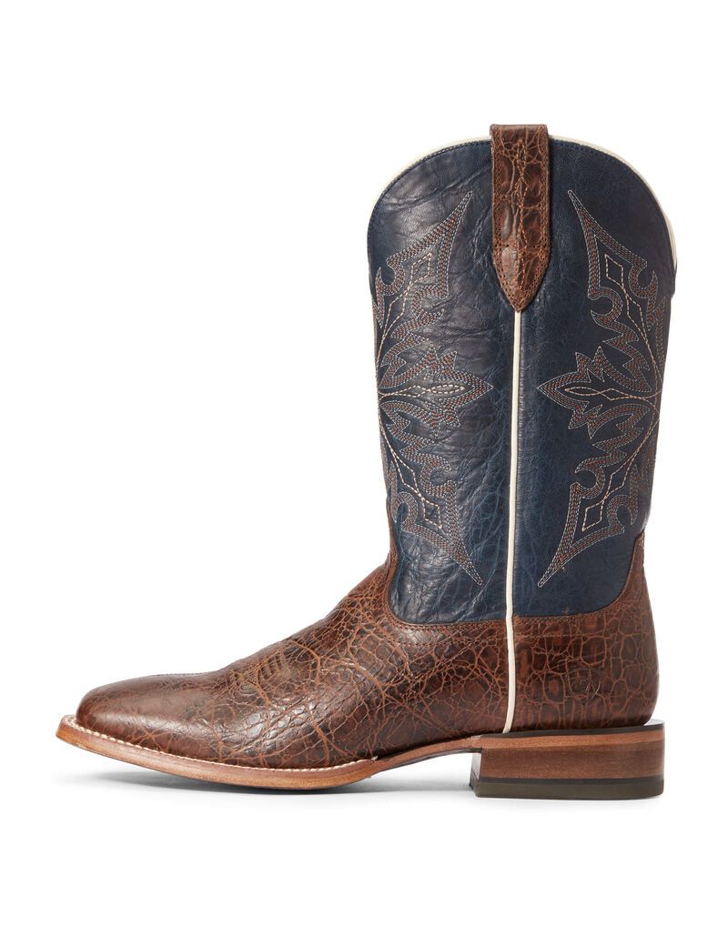 Bottes Western Ariat Circuit Gritty Multicolore | FNE-4401665