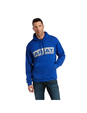 Sweat à Capuche Ariat Basic Sweatshirt Bleu Foncé Grise | ZYI-7894545