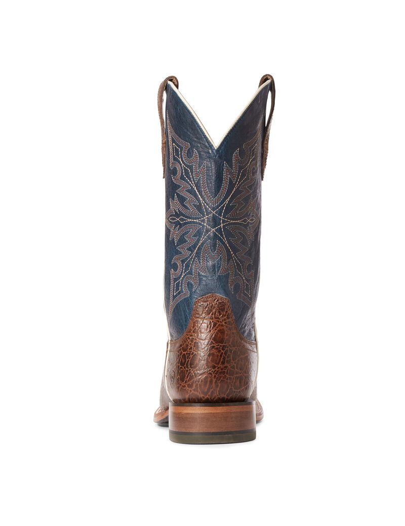 Bottes Western Ariat Circuit Gritty Multicolore | FNE-4401665