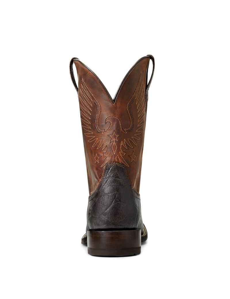 Bottes Western Ariat Circuit Eagle Marron | VLC-1437041