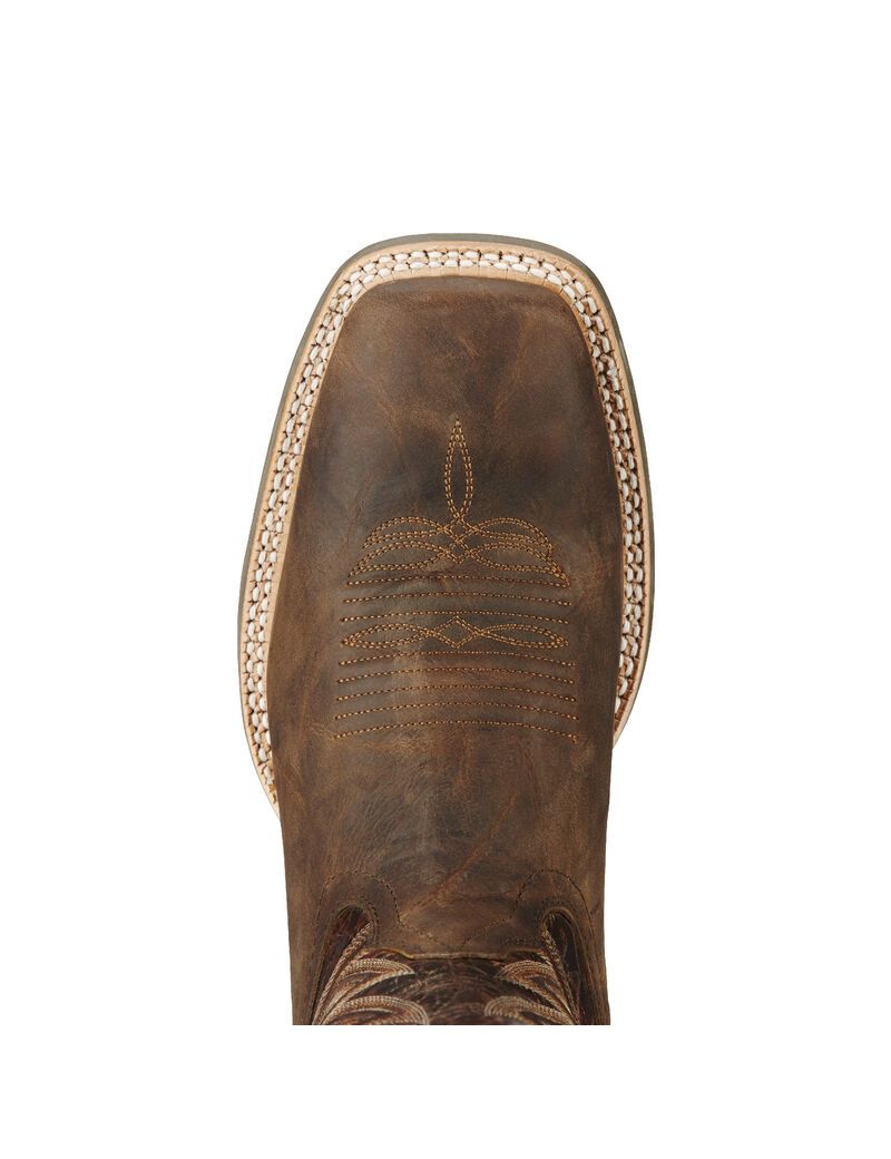 Bottes Western Ariat Challenger Marron | EWE-1295972