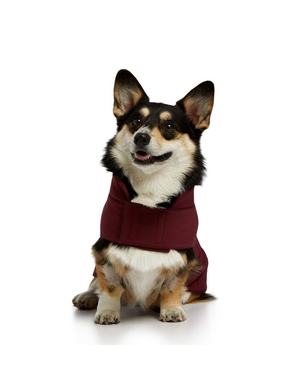 Pet Accessories Ariat Team Softshell Dog Jackets Bordeaux | ENX-2654054