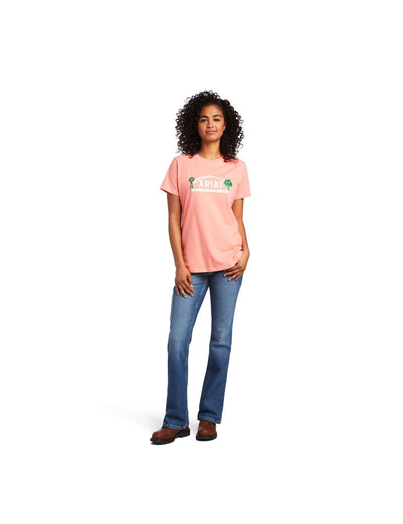 Vêtements De Travail Ariat Rebar Coton Strong Farm Graphique T Shirts Multicolore | ADZ-5233478