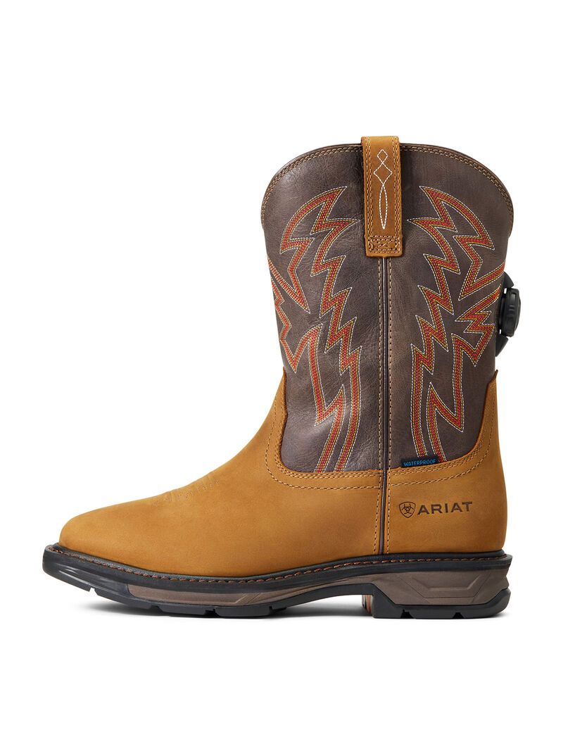 Bottes de Travail Ariat WorkHog XT BOA Imperméables Multicolore | MSE-8852833