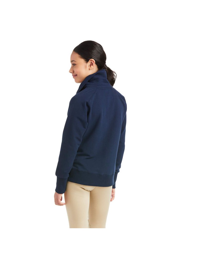 Sweats Ariat Team Logo Full Zip Multicolore | GVP-5637102